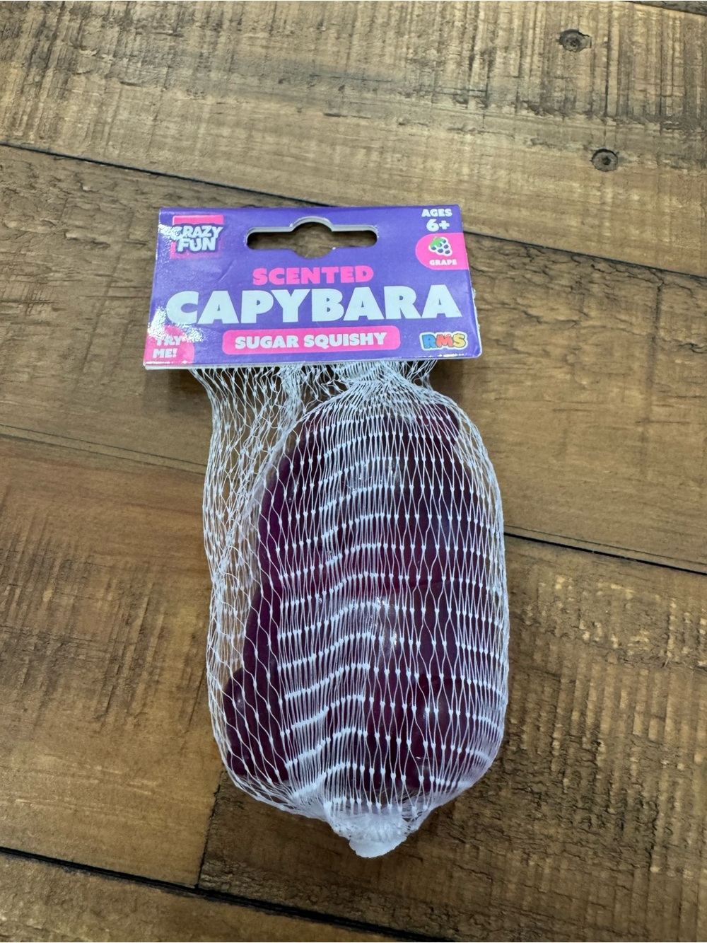 Scented Capybara Sugar Squishy - Purple (Grape)